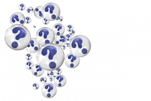 ask questions